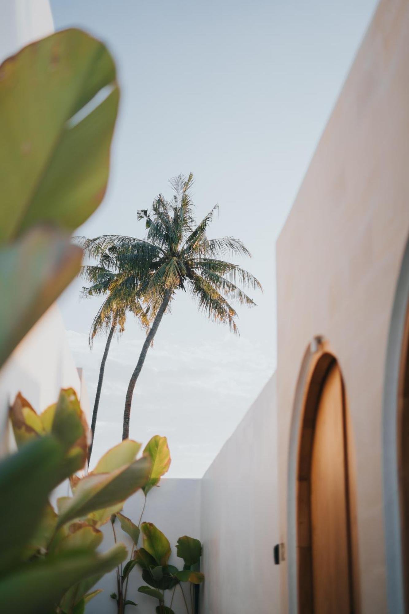 Brandon Villa Lovina With Private Pool ภายนอก รูปภาพ